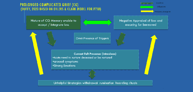 model of complicated grief