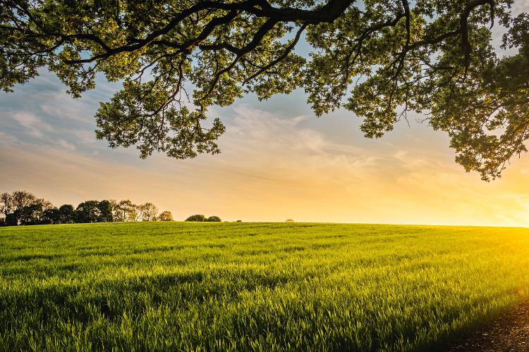 Image of Woodburn Green in England