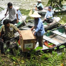 Langur transport to Trang An