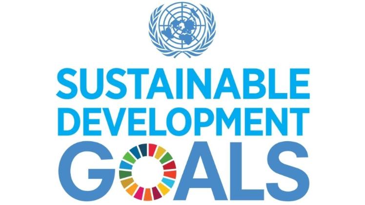 UN Sustainable Development Goals