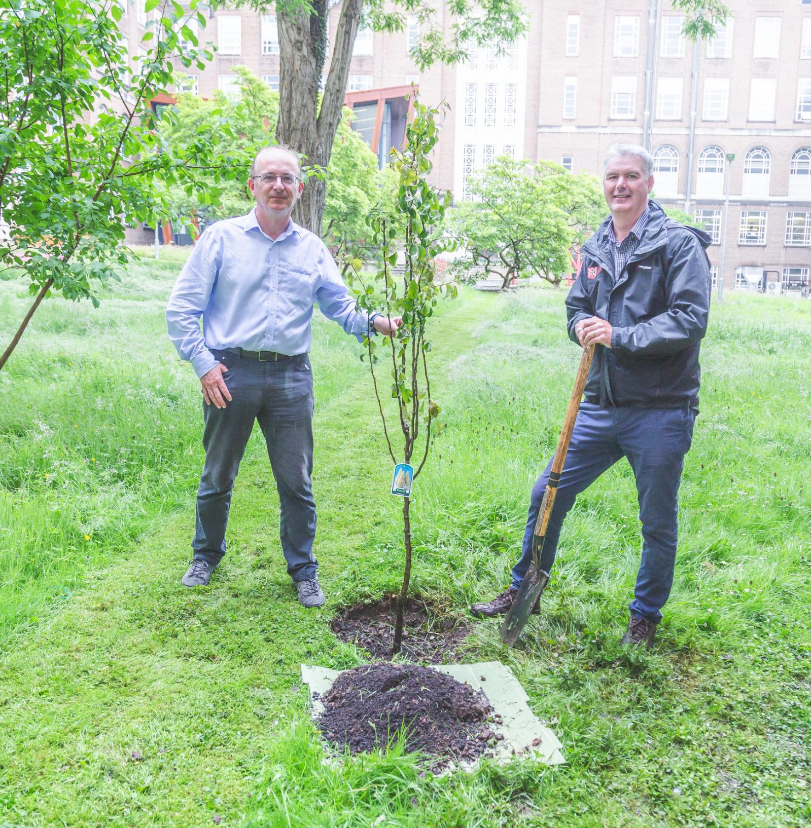 Professor David Rooney and Tony Schmidt standing beside a tree