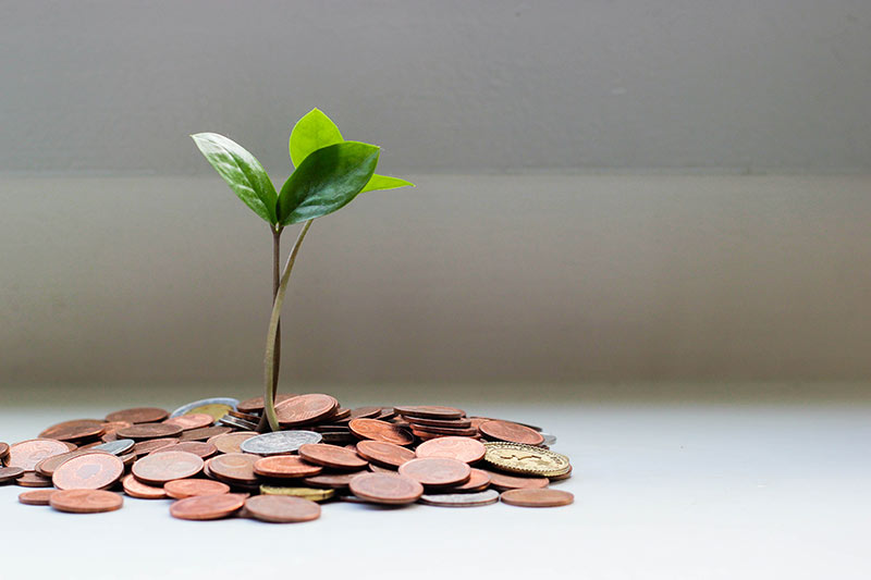 Seedling growing out of coins