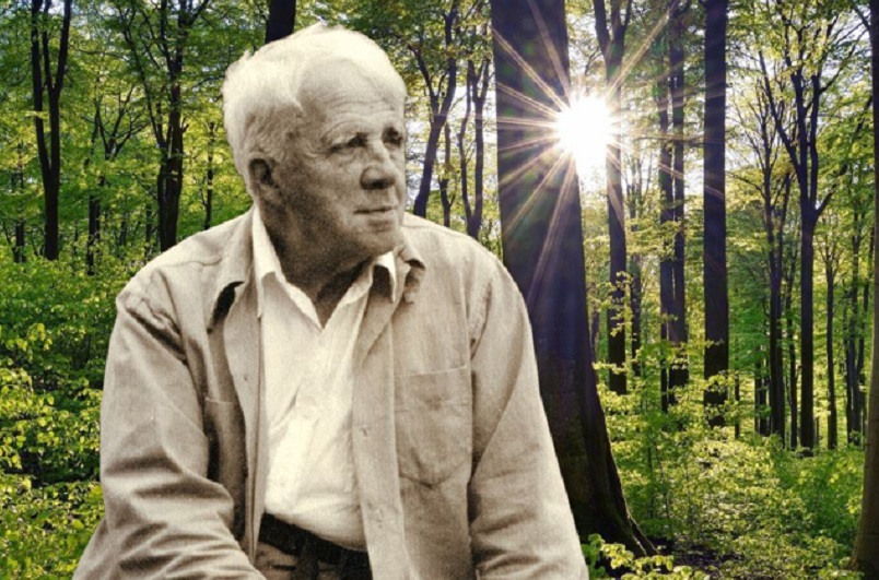Sepia photograph of a white-haired man, Robert Frost, sitting in a woodland with strong sunlight shining through the trees