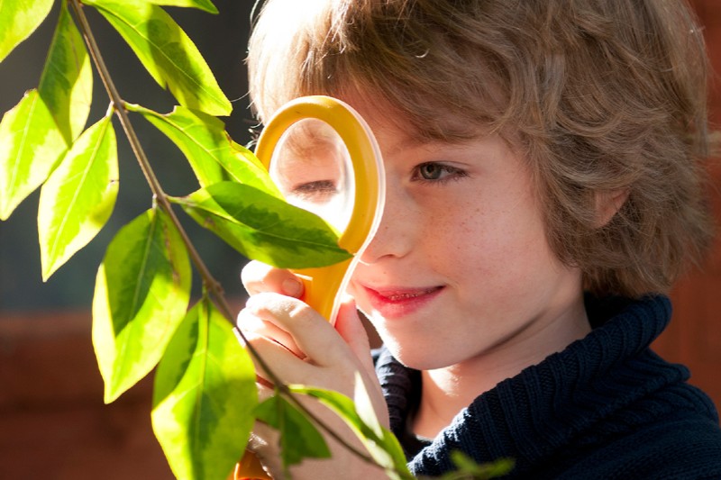 child holding magnifying glass