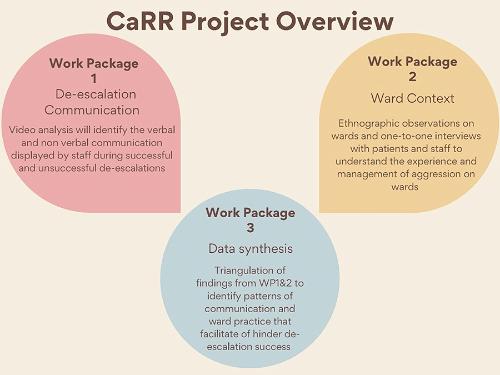 Graphic giving an overview of the CaRR project