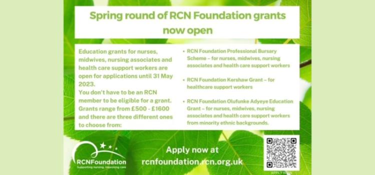 Details of the RCN foundation grants for 2023