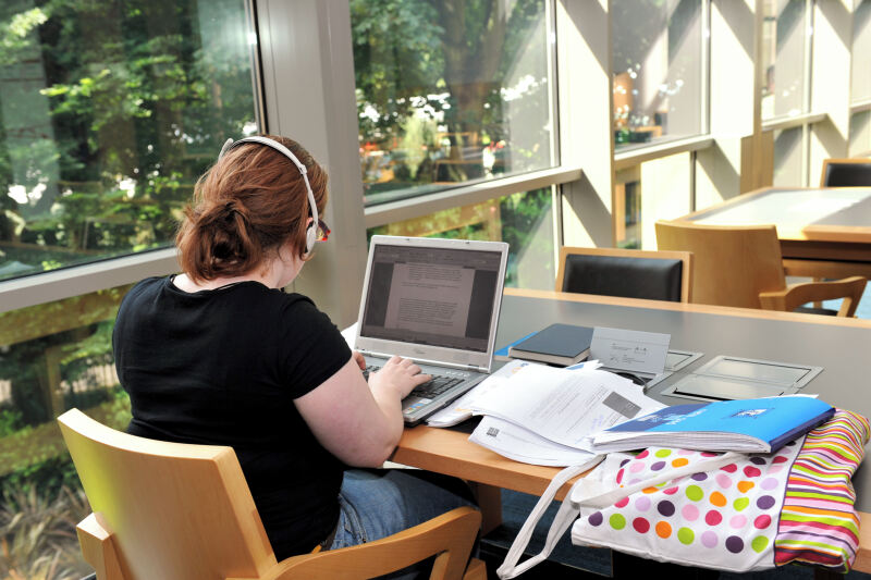 Student studying in McClay