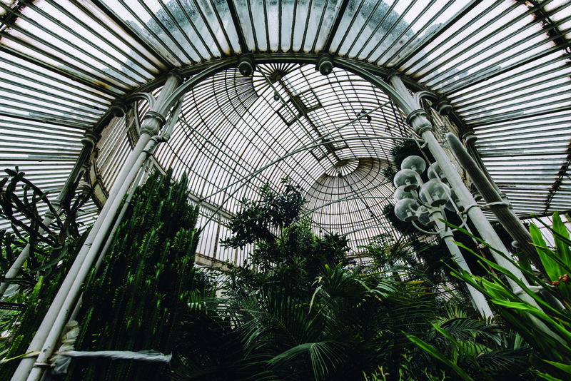 Botanic Gardens Palm House