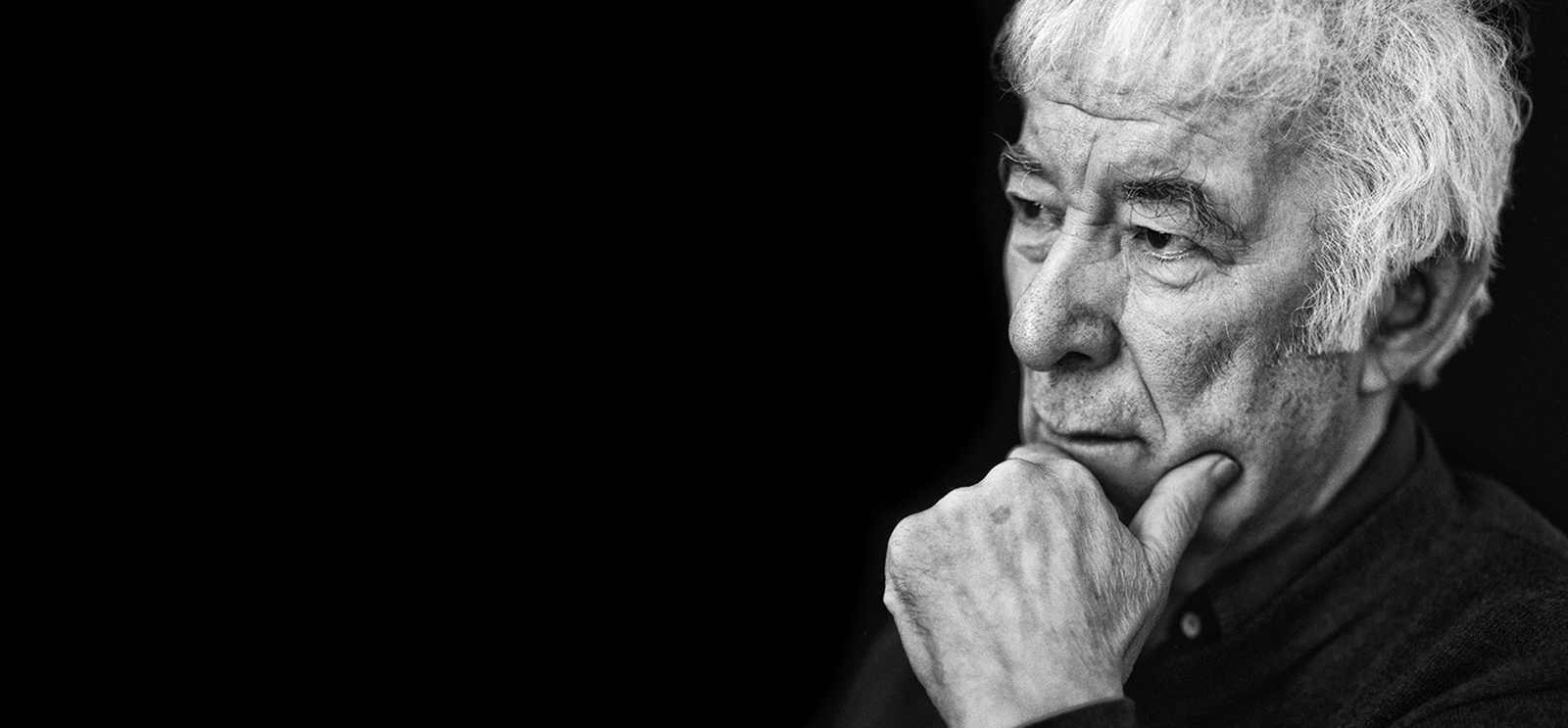 Heaney portrait