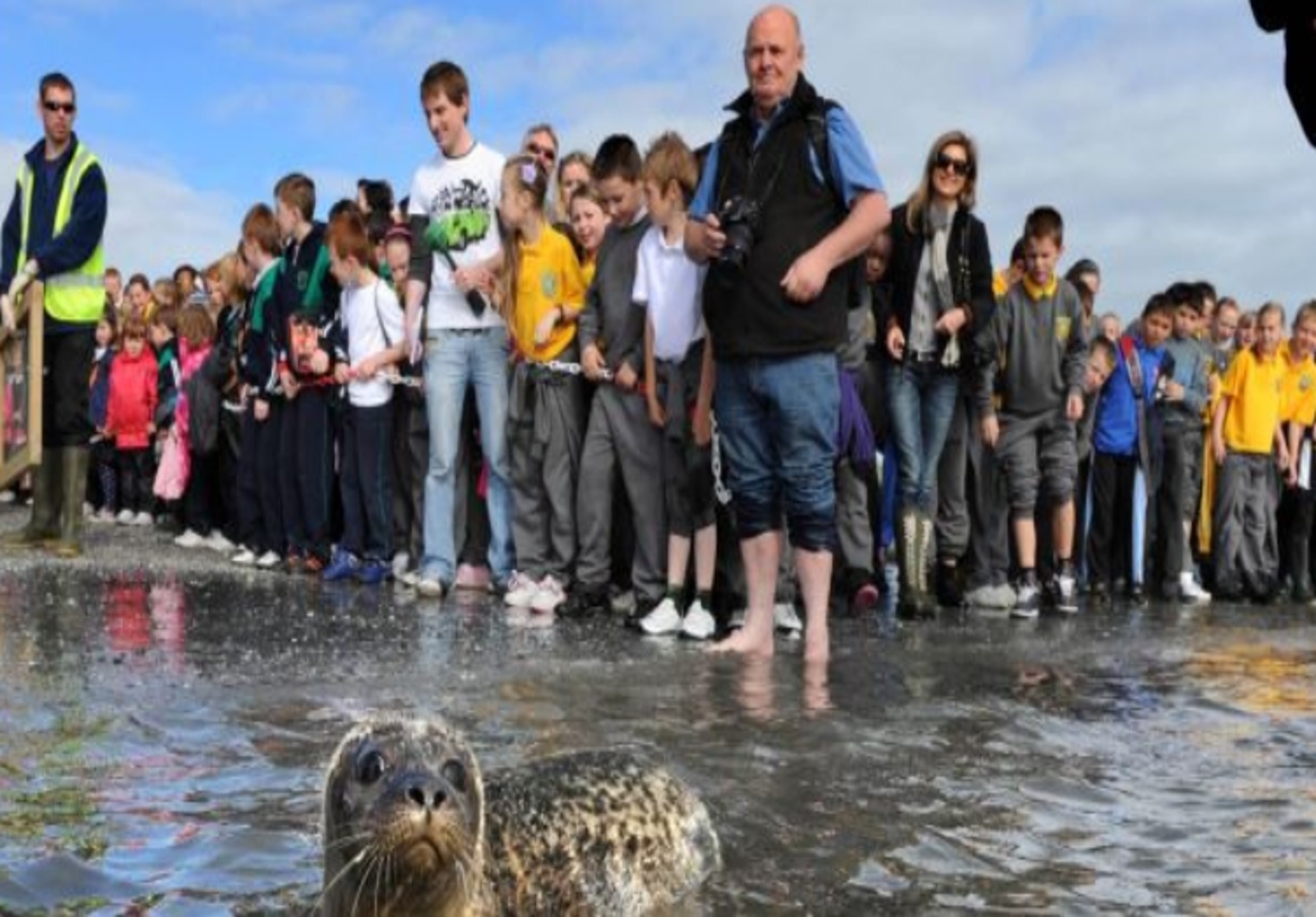 Dr Keith Farnsworth - Seals give five stars to wild salmon in Irish waters