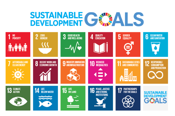 UN Sustainable Development Goals 