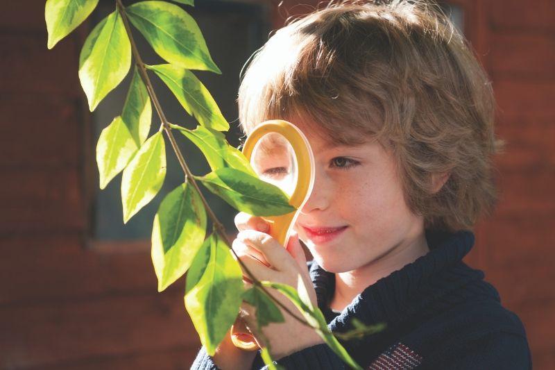Boy with a magnifying glass
