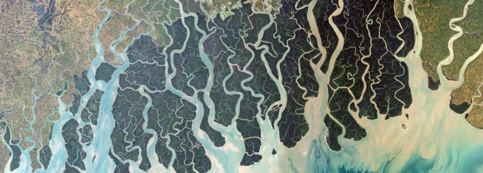 Sundarbans from space