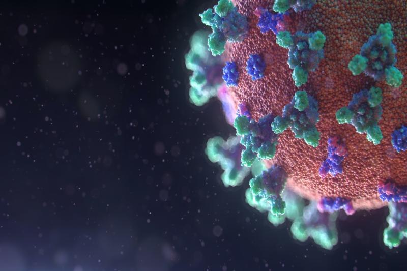 An artists impression of the microscopic structure of the coronavirus