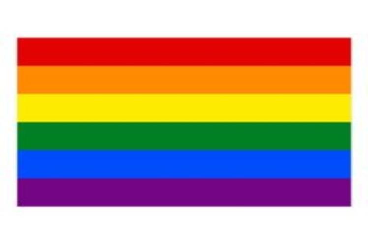 A rainbow flag