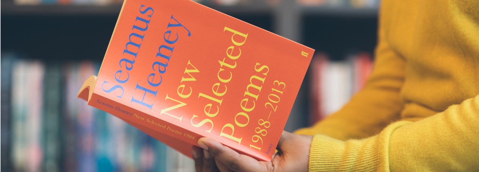 1600x575 banner option