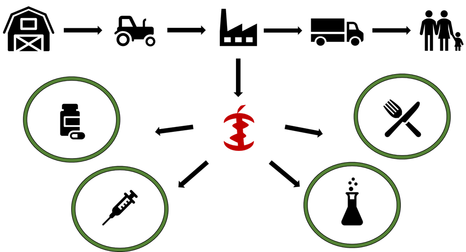 An image relating to Andrew McClure's research