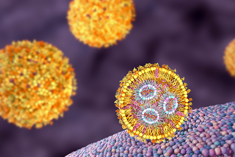 Nanoparticles interacting with a cell membrane