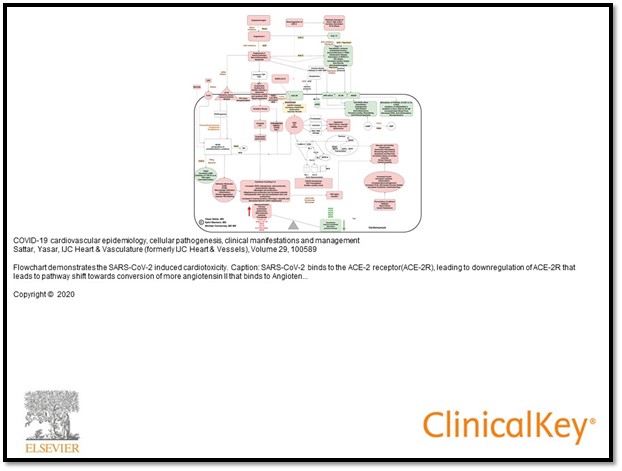ClinicalKey image resources