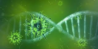 Microscopic image