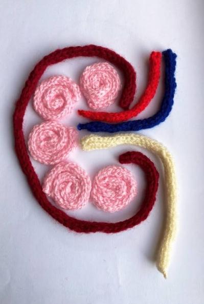 Knitted Kidney by Anna Wilson