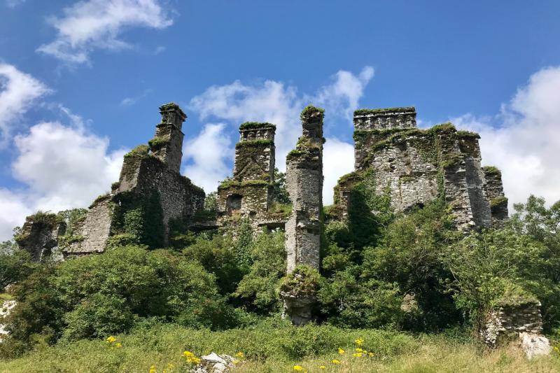 Ruins of Barrymore Castle