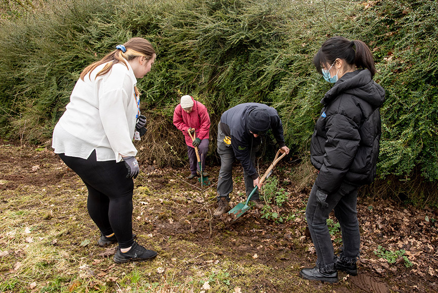 volunteers tree planting at Elms Village