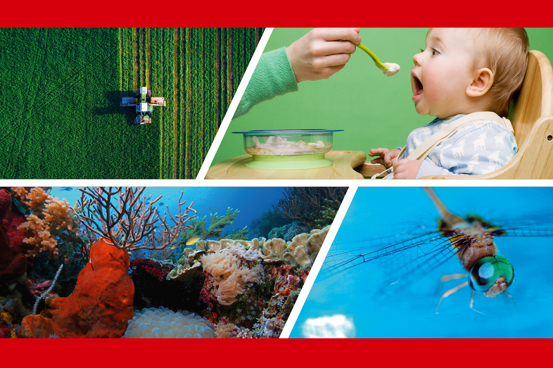 collage of four pictures representing food (baby being fed), Bioeconomy, Natural Resources, Agriculture (aerial view of farm machine working in a field) and Environment (coral reef and dragonfly)
