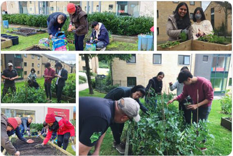 Students working at Elms allotments