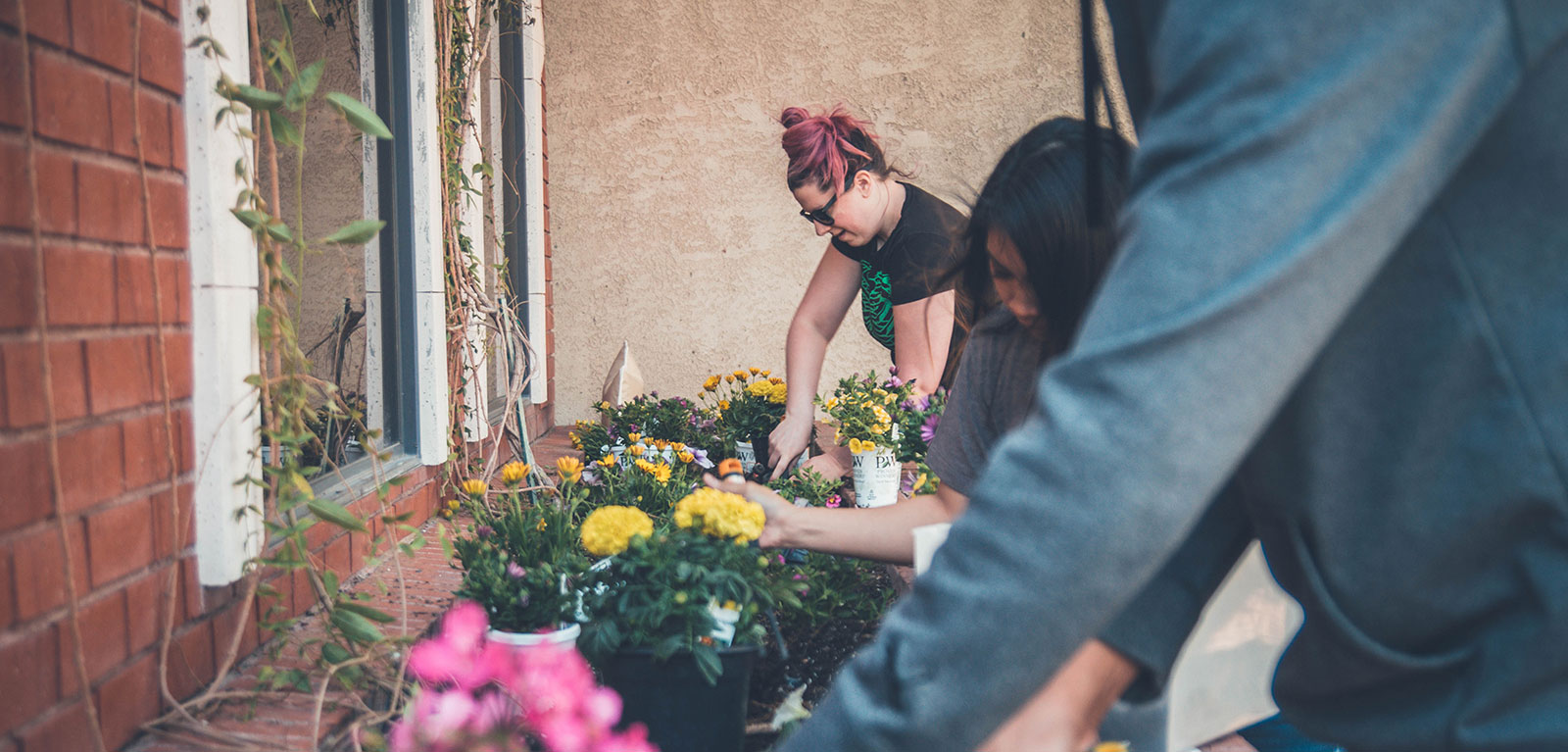 People gardening