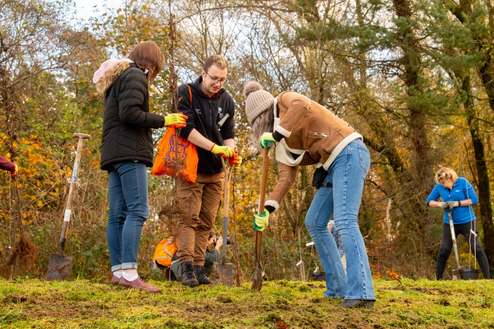 student volunteers helping to plant saplings at Malone Playing Fields