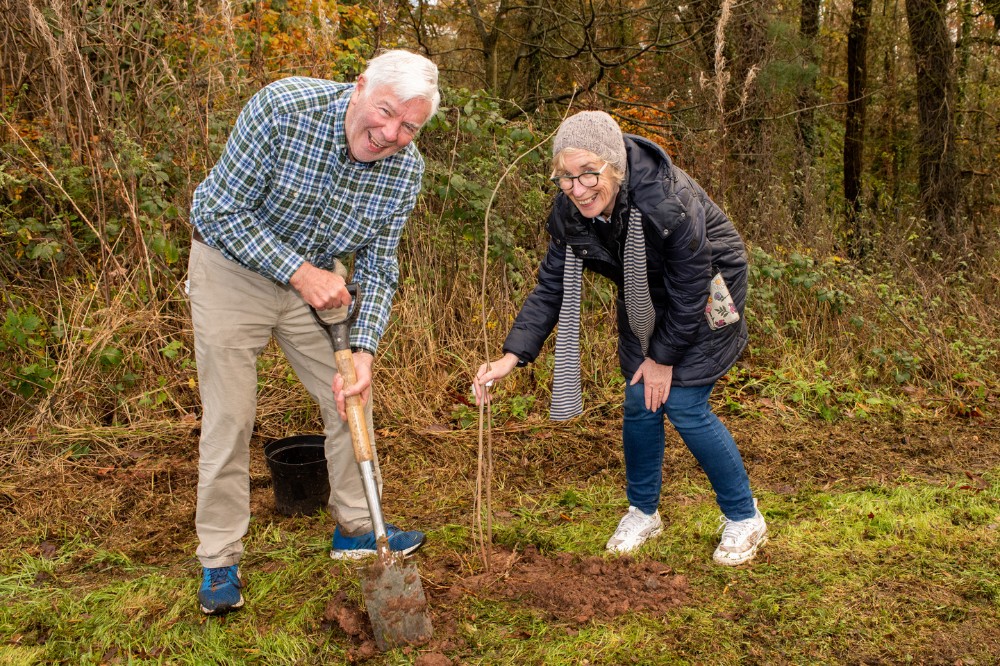 local resident volunteers helping to plant saplings at Malone Playing Fields