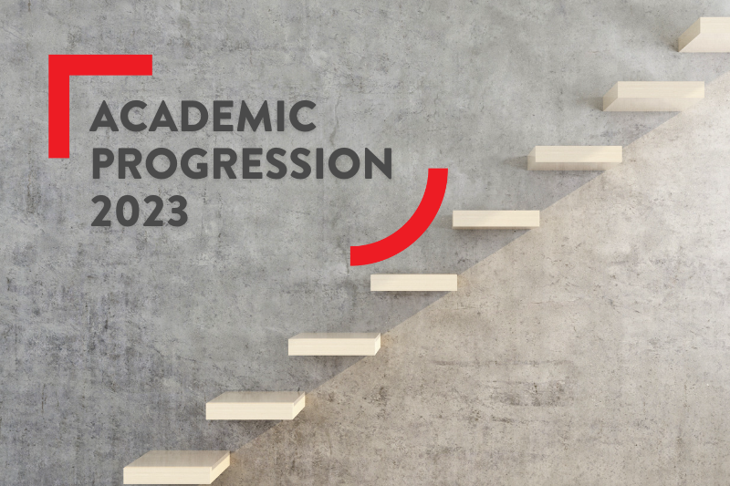 Academic Progression 2023 - images shows steps going up a wall