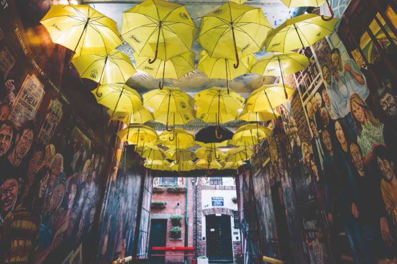 Image shows yellow umbrellas in Commercial Court, Belfast.
