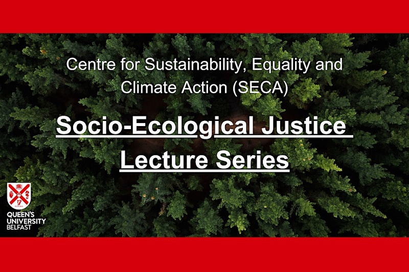 Centre for Sustainability, Equality and Climate Action - Socio-ecological Justice lecture series - image shows aerial view of conifer forest
