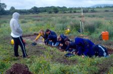 School children excavating at Thornhill, June 2002