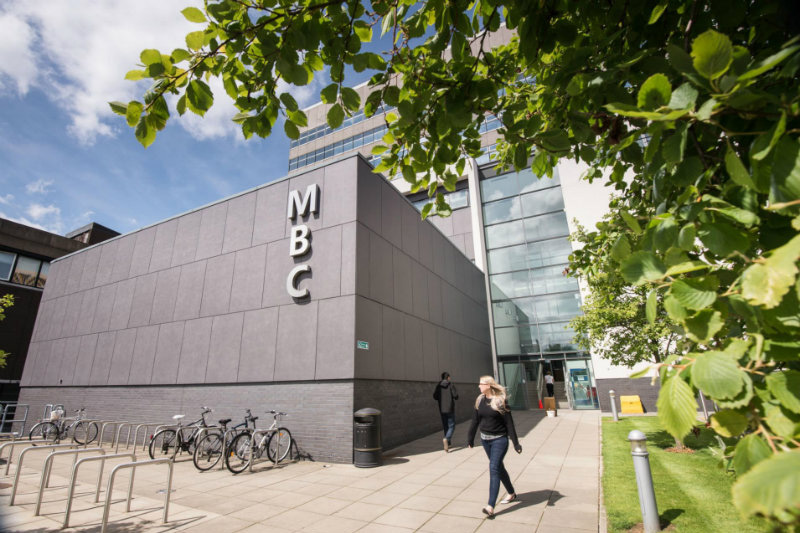 Medical Biology Building at Queen's University Belfast, with branding edited out, and with foliage in the right-hand foreground