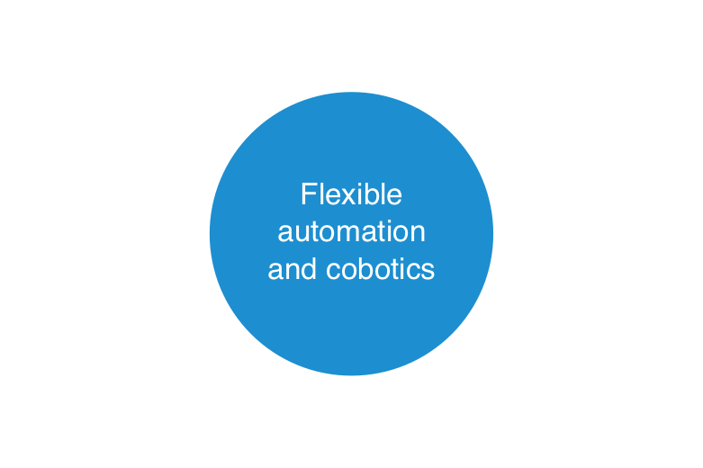 Flexible automation and cobotics