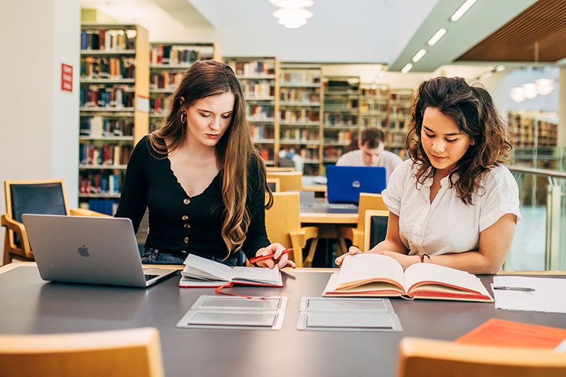 Students working in the McClay Library