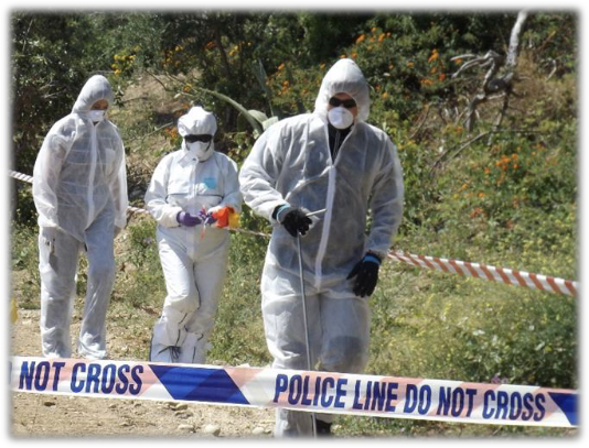 Forensic Search Team
