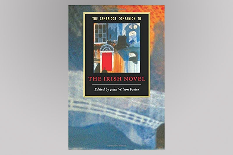 The Irish Novel Book Cover