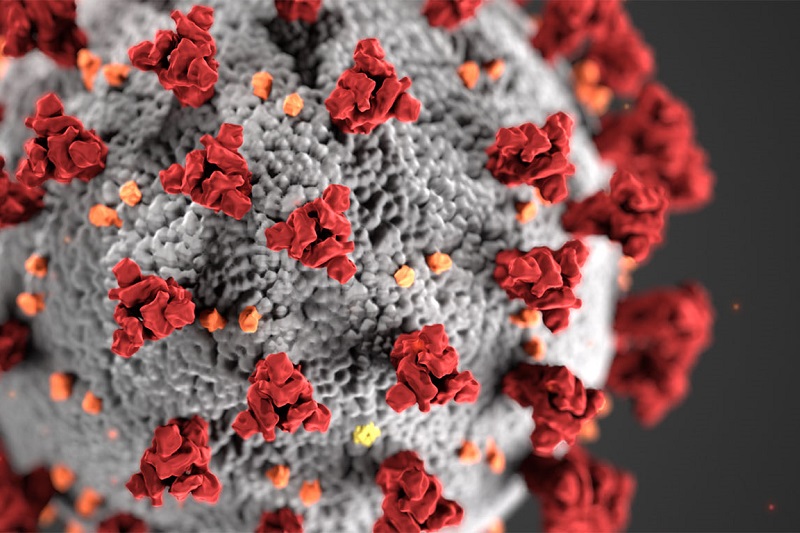 Close up of a COVID virus