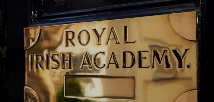 Royal Irish Academy door
