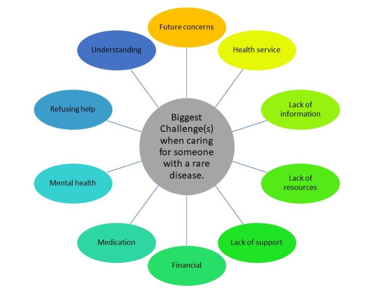 challenges described by rare disease carers
