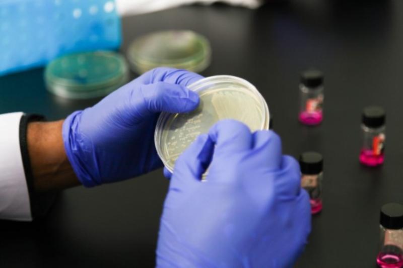 Two hands holding a petri dish