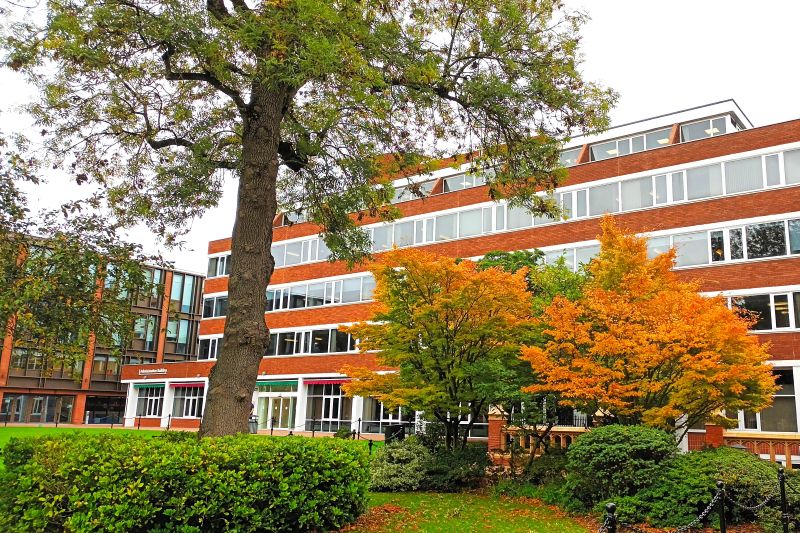 five-storey office block pictured across a lawn and through autumnal trees