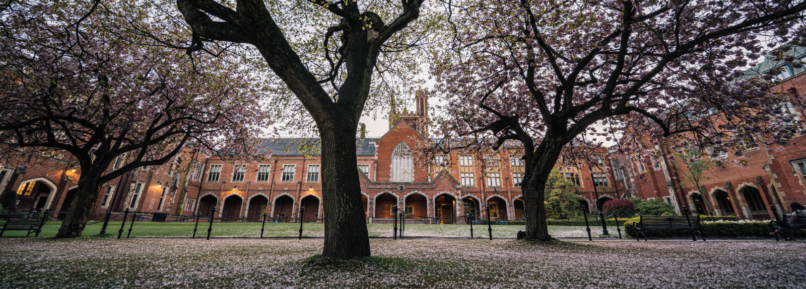 Quad in Spring